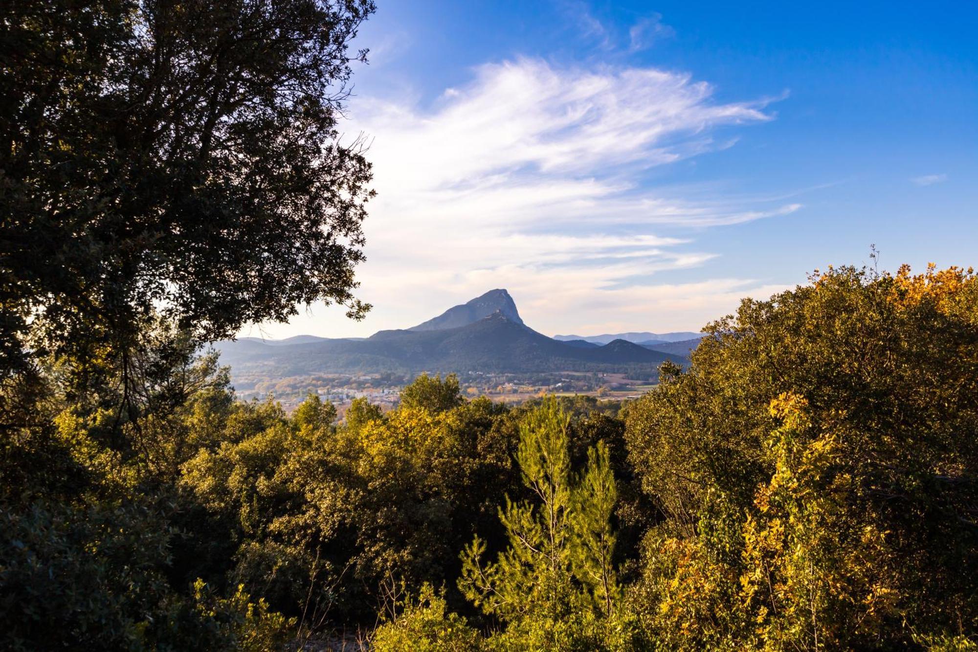 Domaine De Bonelli Hotel Conqueyrac Kültér fotó
